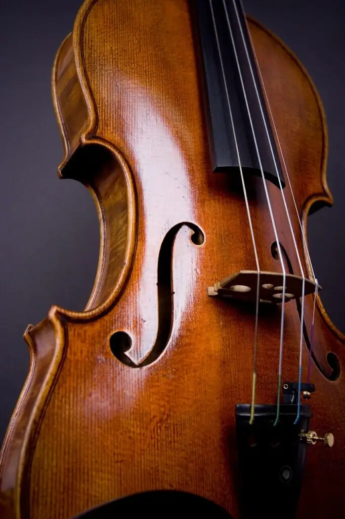 violin, viola, orchestra-3245322.jpg